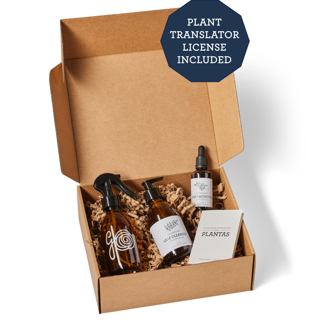 CHRISTMAS GIFTS FOR EMPLOYEES-2